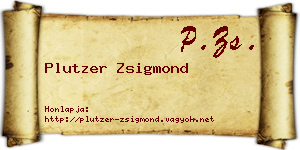 Plutzer Zsigmond névjegykártya